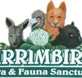 Wirrimbirra Sanctuary - Australia Accommodation