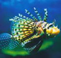 Underwater World - Australia Accommodation
