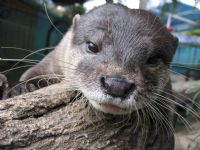 Underwater World - Australia Accommodation 1