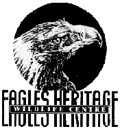 Eagles Heritage - Australia Accommodation