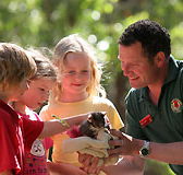 Cleland Wildlife Park - Australia Accommodation