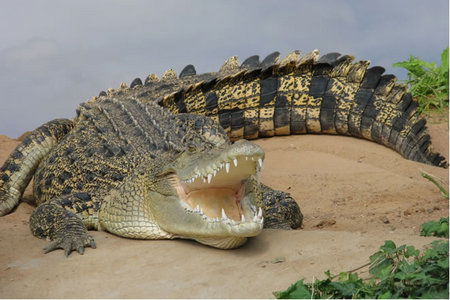  Australia Accommodation