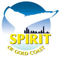 Spirit of Gold Coast Whale Watching - Australia Accommodation