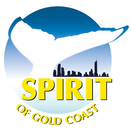 Spirit Of Gold Coast Whale Watching - Australia Accommodation 0