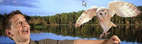 Territory Wildlife Park - Australia Accommodation 2