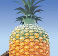 The Big Pineapple - Australia Accommodation