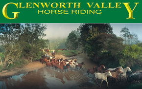 Peats Ridge NSW Australia Accommodation