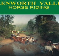 Glenworth Valley Horseriding - Australia Accommodation
