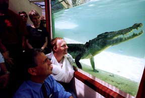 Alice Springs Reptile Centre - Australia Accommodation 1