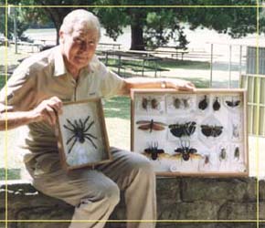 Butterfly Farm - Australia Accommodation 1