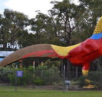 Gumbuya Park - Australia Accommodation