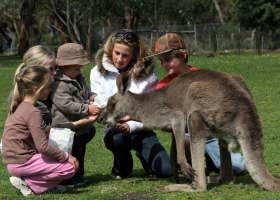 Gumbuya Park - Australia Accommodation 1