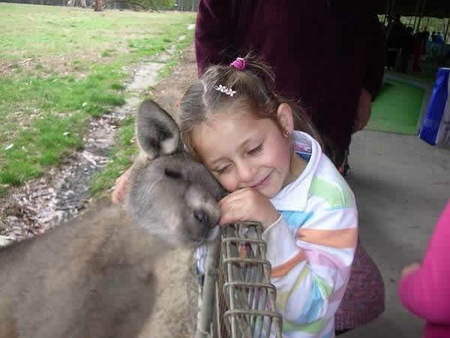 Gumbuya Park - Australia Accommodation 3