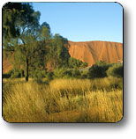 Australia Accommodation
