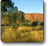 Uluru - Kata Tjuta National Park - Australia Accommodation
