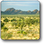 Uluru - Kata Tjuta National Park - Australia Accommodation 2