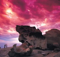 Kangaroo Island Adventure Tour 2 day/1 night - Australia Accommodation