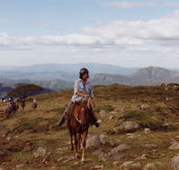 High Country Horses - Australia Accommodation