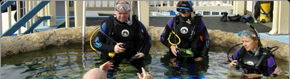 Scuba World - Australia Accommodation 2