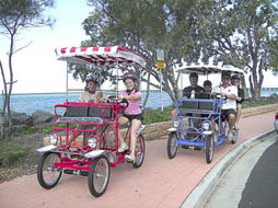 Book Hervey Bay QLD Attractions Australia Accommodation Australia Accommodation