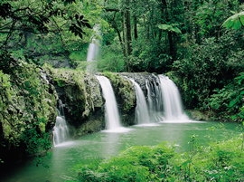 Hidden Valley Tours - Australia Accommodation 2