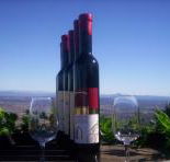 Mount Tamborine Winery  Homestead - Australia Accommodation