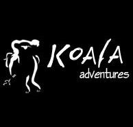 Koala Adventures - Australia Accommodation