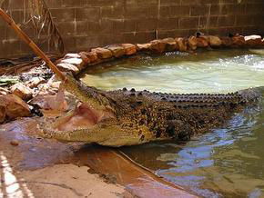  Australia Accommodation