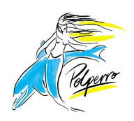 Polperro Dolphin Swims - Australia Accommodation 0