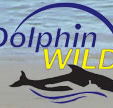 Dolphin Wild - Australia Accommodation