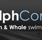 Dolphcom - Dolphin  Whale Swimming Adventures - Australia Accommodation
