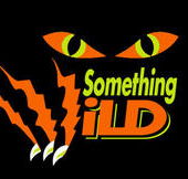 Something Wild - Australia Accommodation