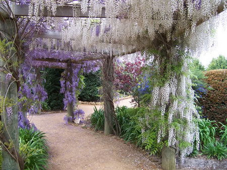 Abingdon Miniature Village - Australia Accommodation 0