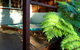 Hidden Valley Eco Spa Lodges & Day Spas - thumb 1