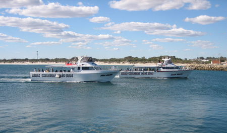 Mills Charters Fishing And Whale Watch Cruises - Australia Accommodation 2