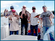 Odyssey Charters - Australia Accommodation 2