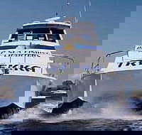 Sunshine Coast Fishing Charters - Australia Accommodation