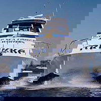 Sunshine Coast Fishing Charters - Australia Accommodation 0