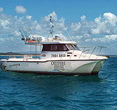 Sunshine Coast Fishing Charters - Australia Accommodation 1