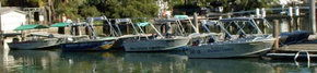 Brooklyn Central Boat Hire & General Store - Australia Accommodation 1