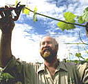 Barossa Experience Tours - Australia Accommodation