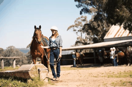 Watsons Trail Rides - Australia Accommodation 0