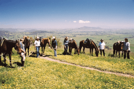 Watsons Trail Rides - Australia Accommodation 1