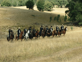 McCormacks Mountain Valley Trail Rides - Australia Accommodation