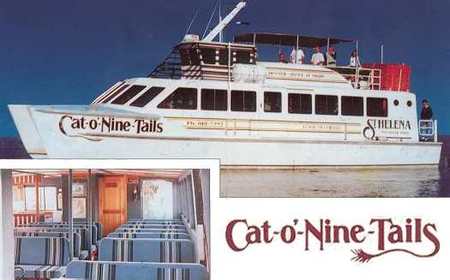 Cat O' NineTails - Australia Accommodation 1