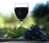 Lion Mill Vineyards - Australia Accommodation 0