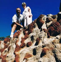 Mystery Craters - Australia Accommodation 2
