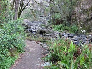 Stevensons Falls - Australia Accommodation 1