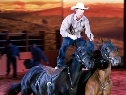 Australian Outback Spectacular - Australia Accommodation 1