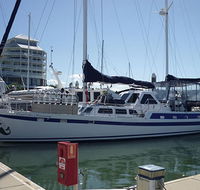 Coral Sea Dreaming Dive and Sail - Australia Accommodation